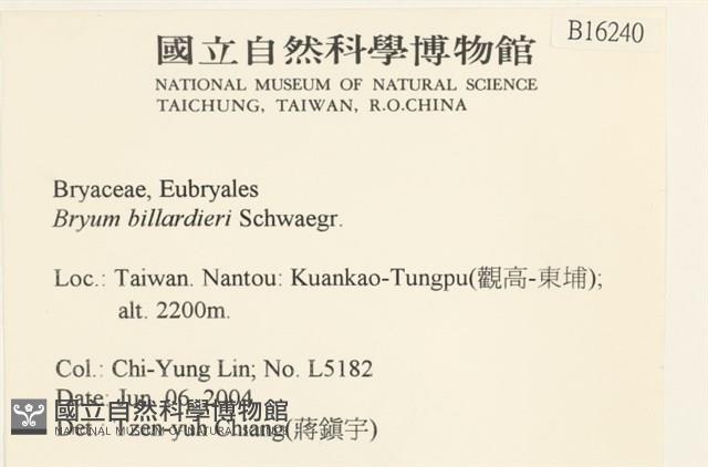 登錄號:B00016240藏品圖，第2張