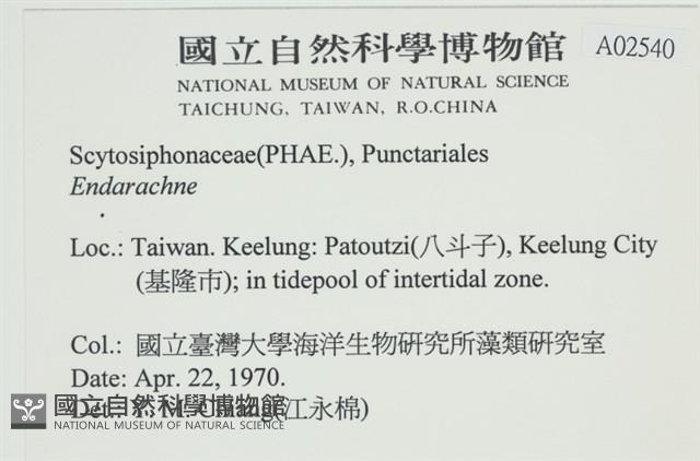 登錄號:A00002540藏品圖，第2張