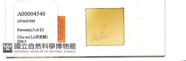 登錄號:A00004540藏品圖，第1張