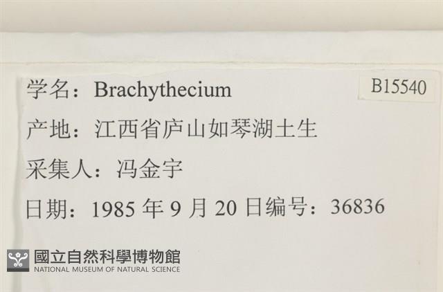 登錄號:B00015540藏品圖，第2張