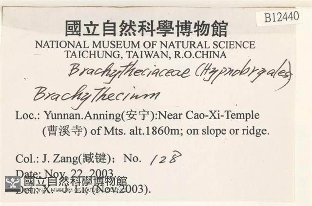 登錄號:B00012440藏品圖，第2張