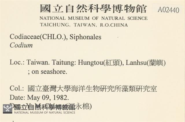 登錄號:A00002440藏品圖，第2張