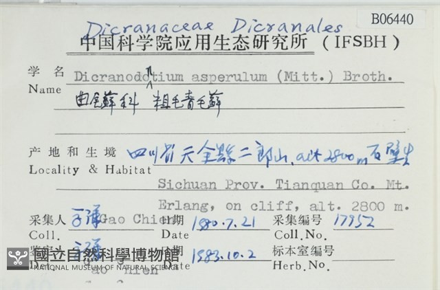粗毛青毛蘚藏品圖，第2張