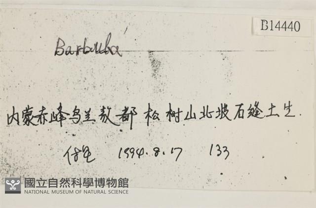 登錄號:B00014440藏品圖，第2張