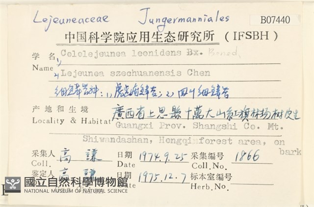 虎齒疣鱗苔藏品圖，第2張