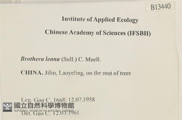 登錄號:B00013440藏品圖，第2張