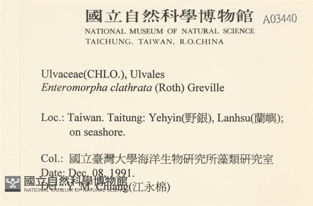 登錄號:A00003440藏品圖，第2張