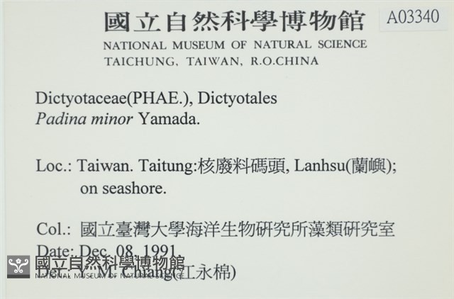 小團扇藻藏品圖，第2張