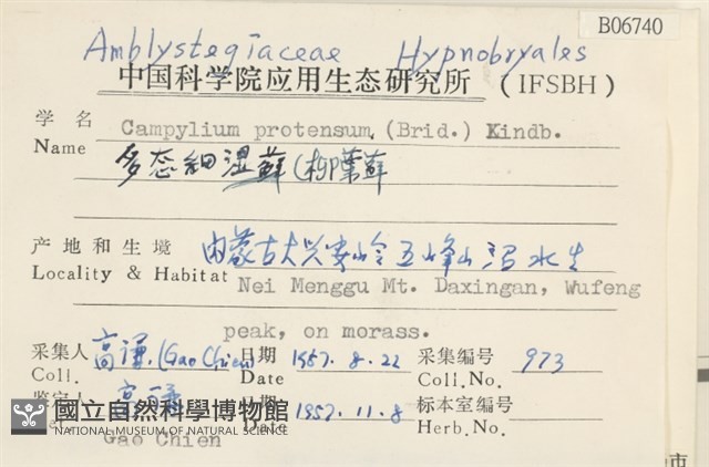 多態細濕蘚藏品圖，第2張