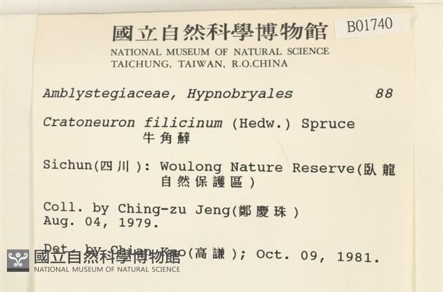 登錄號:B00001740藏品圖，第2張