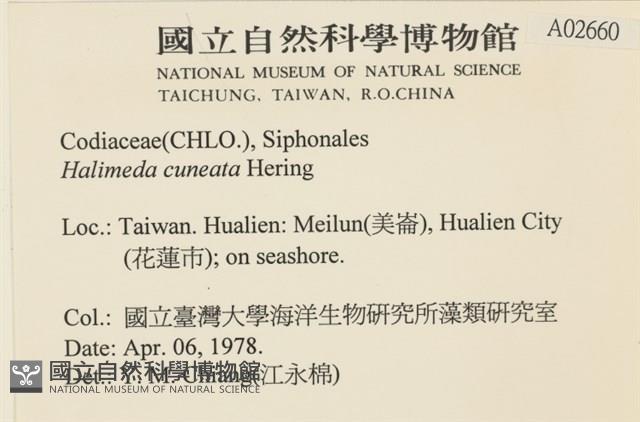 登錄號:A00002660藏品圖，第2張