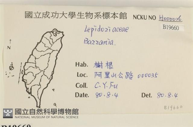 登錄號:B00019660藏品圖，第2張