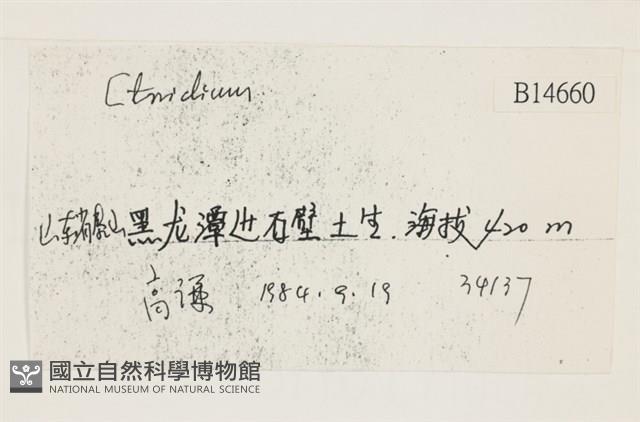 登錄號:B00014660藏品圖，第2張