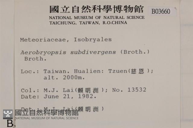 大灰氣蘚藏品圖，第2張