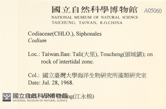 登錄號:A00005060藏品圖，第1張