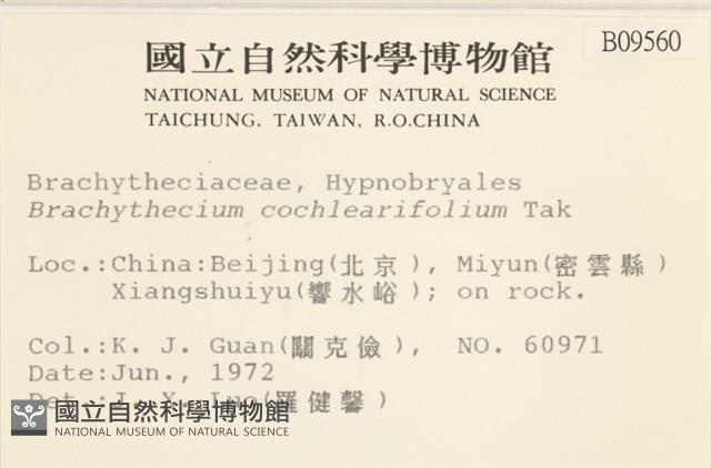 登錄號:B00009560藏品圖，第2張