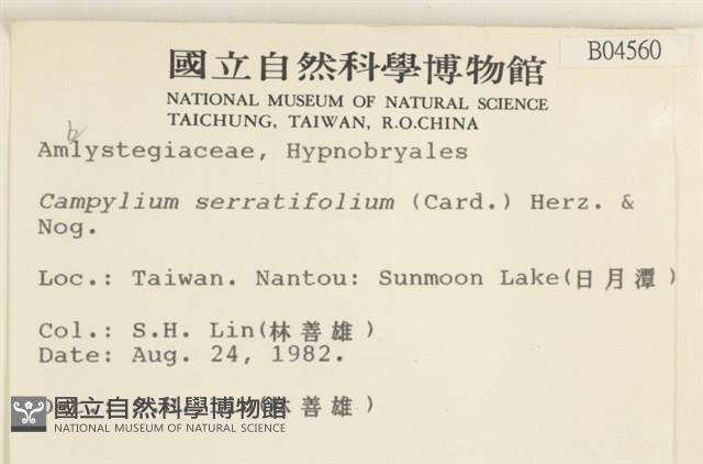 登錄號:B00004560藏品圖，第2張