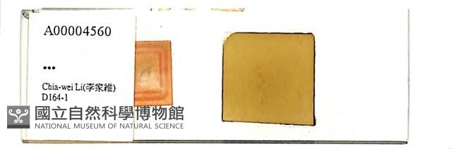 登錄號:A00004560藏品圖，第1張