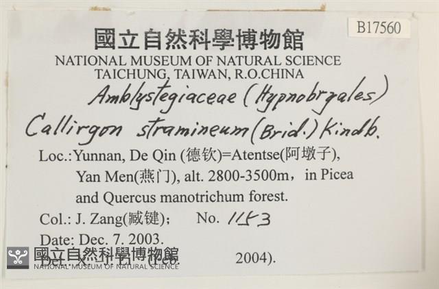 草黃濕原蘚藏品圖，第2張