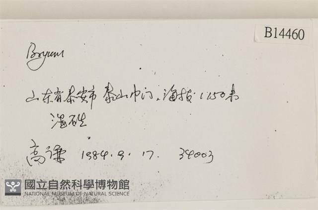 登錄號:B00014460藏品圖，第2張