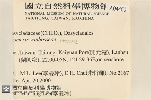 范氏蠕藻藏品圖，第2張