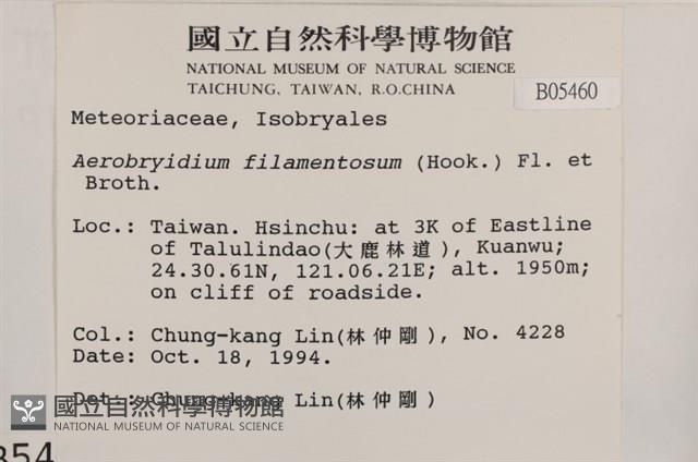 毛扭蘚藏品圖，第2張