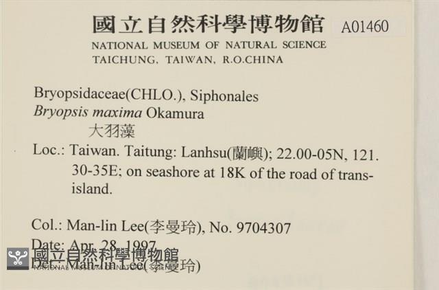 Accession Number:A00001460 Collection Image, Figure 2, Total 3 Figures