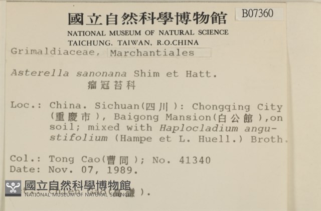 短托柄花萼苔藏品圖，第2張