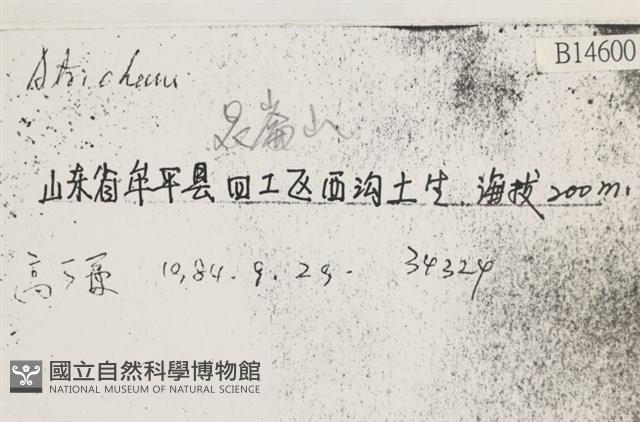 登錄號:B00014600藏品圖，第2張