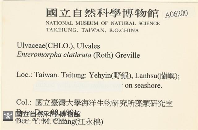 登錄號:A00006200藏品圖，第2張