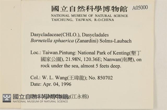 登錄號:A00005000藏品圖，第2張