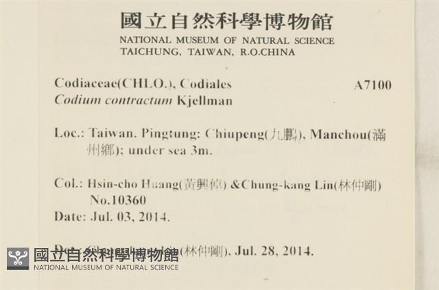 登錄號:A00007100藏品圖，第2張