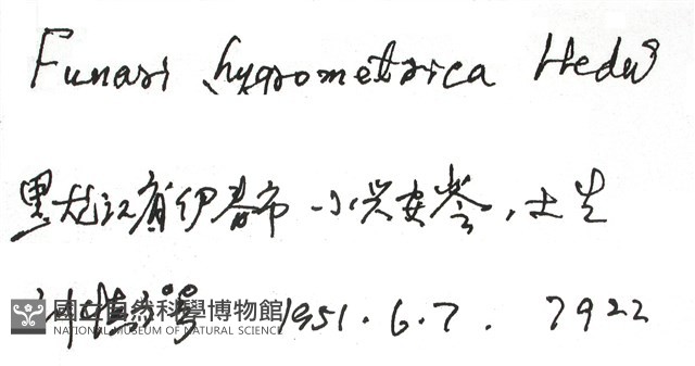 葫蘆蘚藏品圖，第2張