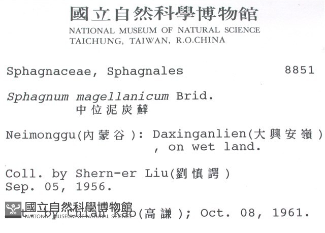 中位泥炭蘚藏品圖，第2張
