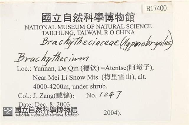 登錄號:B00017400藏品圖，第2張