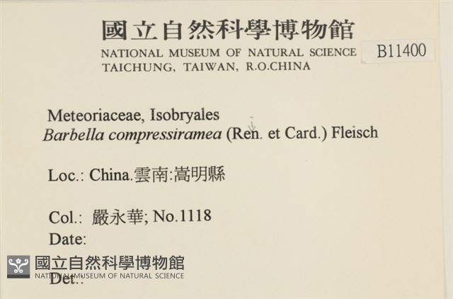 登錄號:B00011400藏品圖，第2張