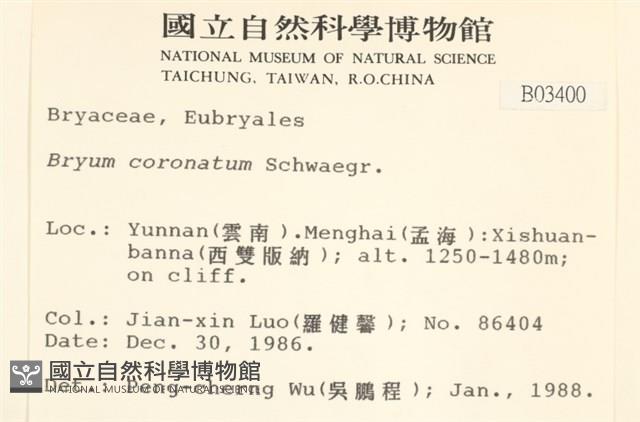 蕊形真蘚藏品圖，第2張