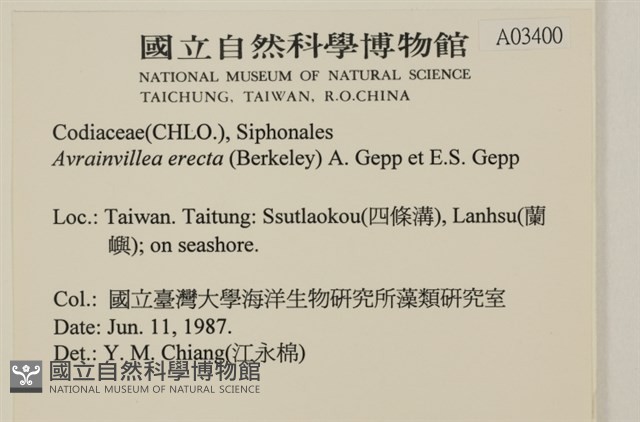 登錄號:A00003400藏品圖，第2張