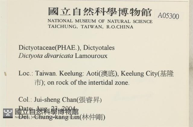 登錄號:A00005300藏品圖，第2張