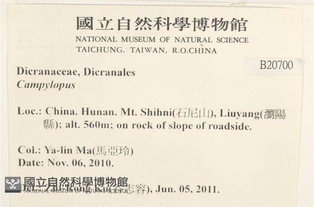 登錄號:B00020700藏品圖，第2張