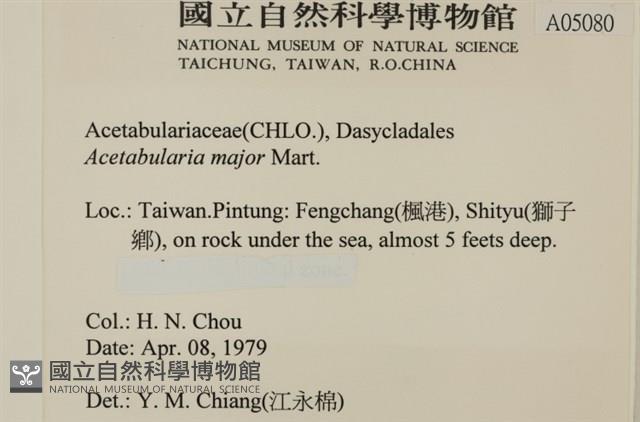 登錄號:A00005080藏品圖，第2張