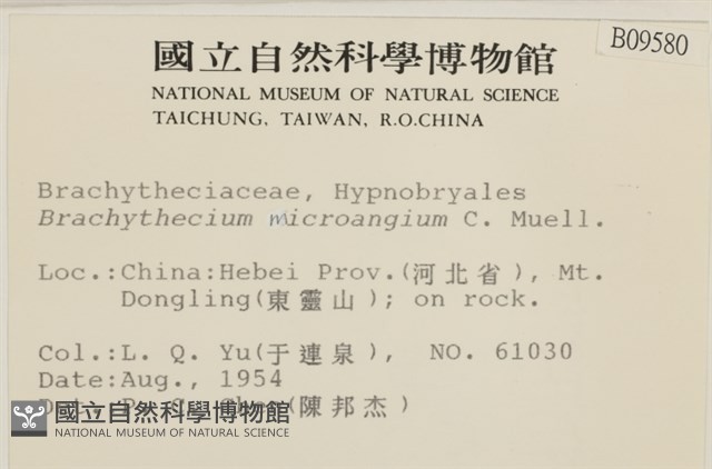 登錄號:B00009580藏品圖，第2張