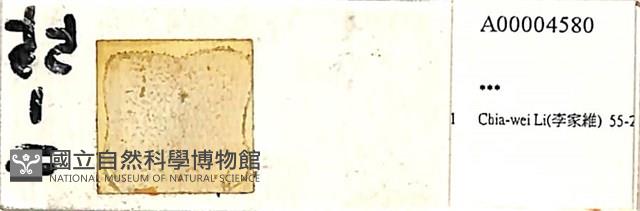 登錄號:A00004580藏品圖，第1張