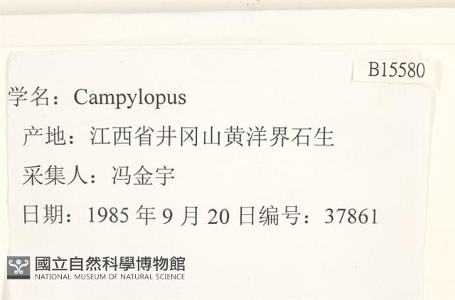 登錄號:B00015580藏品圖，第2張