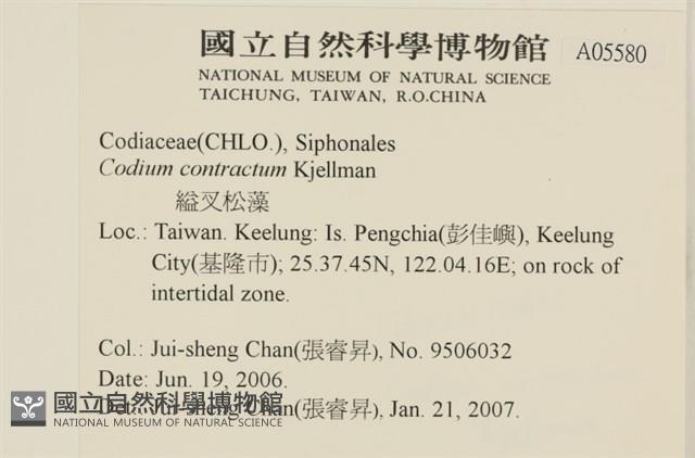 登錄號:A00005580藏品圖，第2張