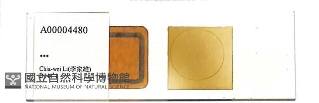 登錄號:A00004480藏品圖，第1張