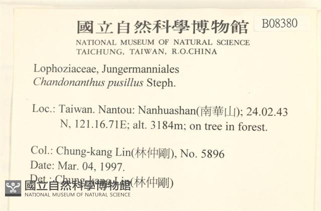 登錄號:B00008380藏品圖，第2張