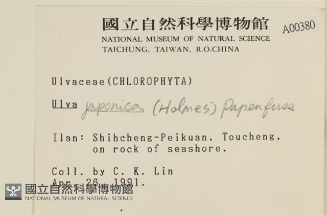 登錄號:A00000380藏品圖，第2張