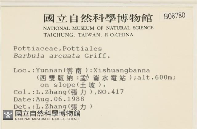 登錄號:B00008780藏品圖，第2張