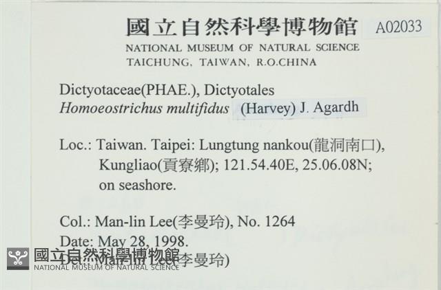 多扇藻藏品圖，第2張